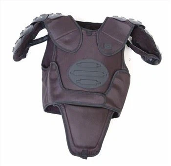 Cảnh sát thực thi pháp luật Trang bị chống bạo động