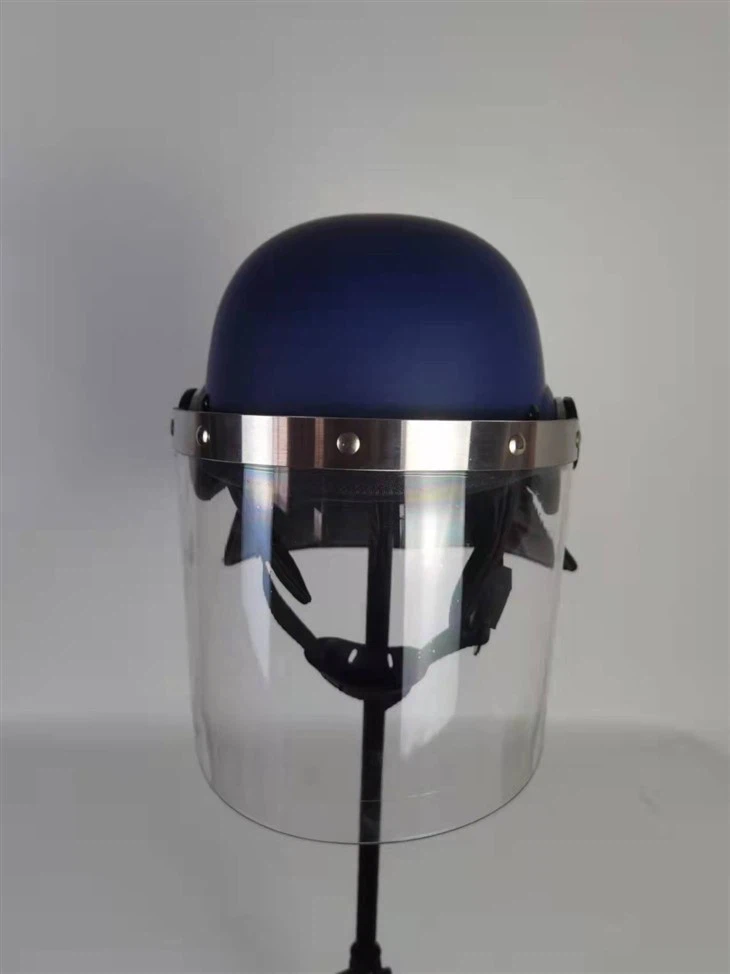 Riot Gear Helmet